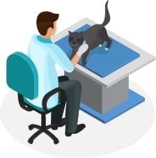 ペットの診察を行う医師のイラスト