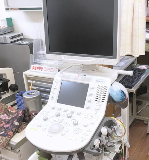 エコー（超音波診断装置）