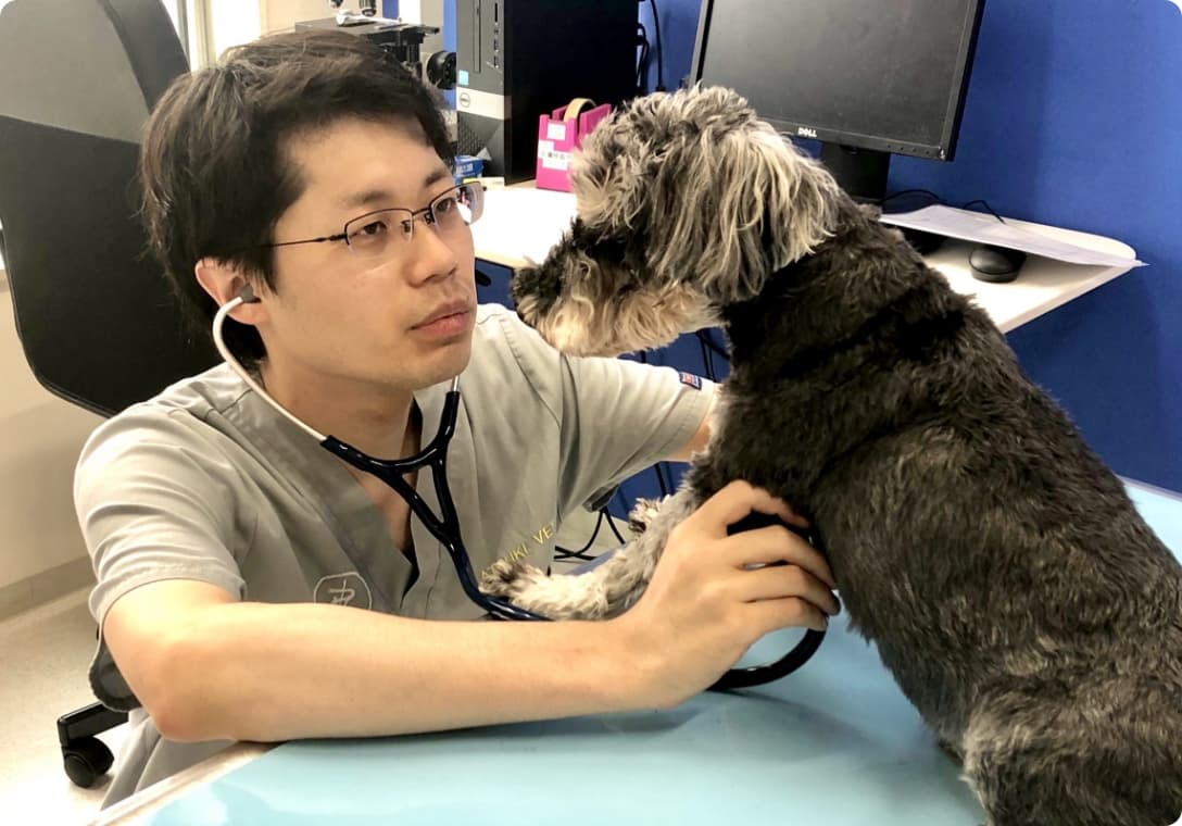 犬の診察の様子